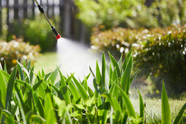 24/7 Emergency Mosquito Control experts in Brownfields, LA