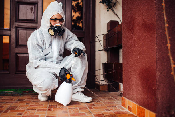 Reliable Mosquito Control contractor in Brownfields, LA by Show Me Pest Control
