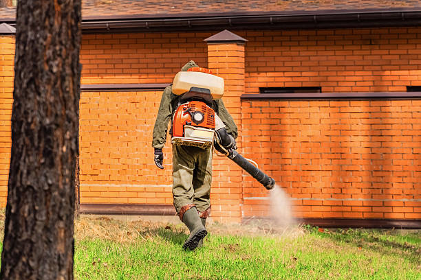 Top rated local Mosquito Control specialists in Brownfields, LA